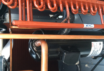 Dumbbell press bride on bosu